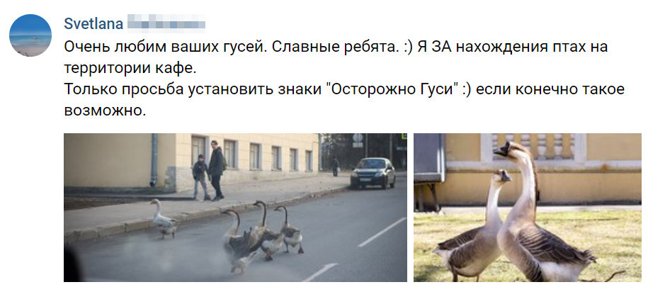 Скриншот из vk.com/kafejela